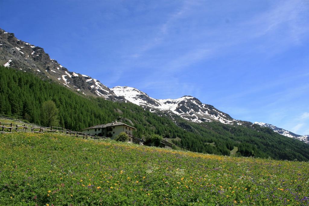Maison Des Myrtilles Hotel Valgrisenche Exterior photo